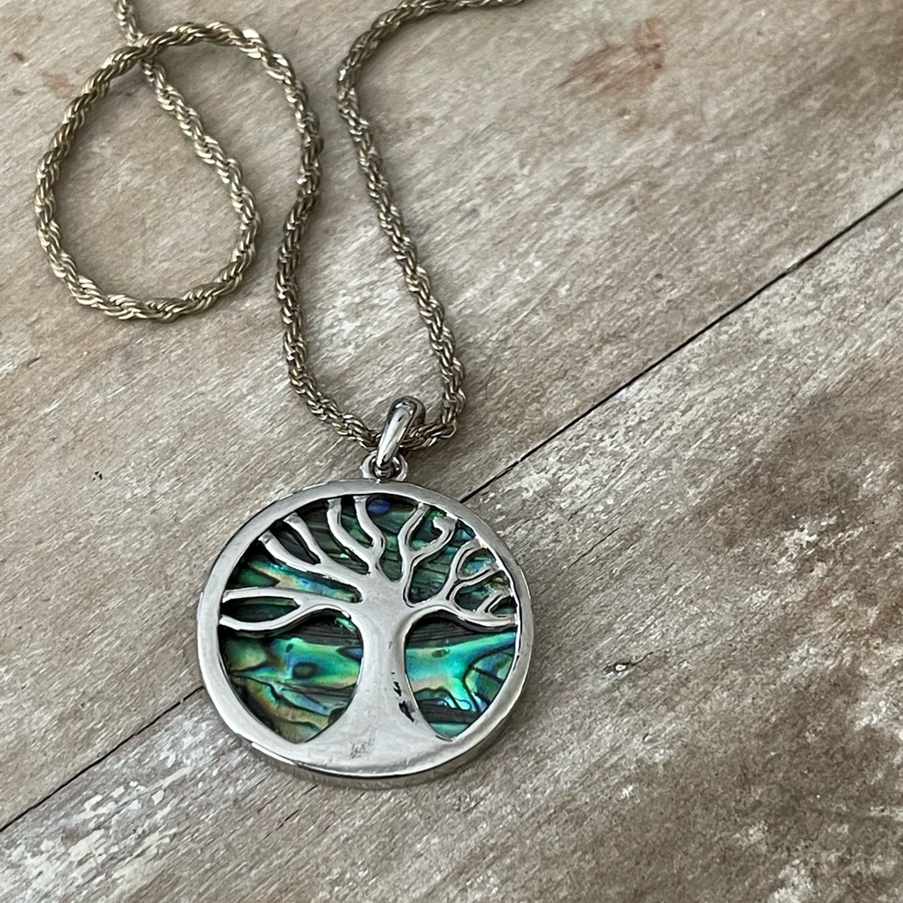 Abalone necklace